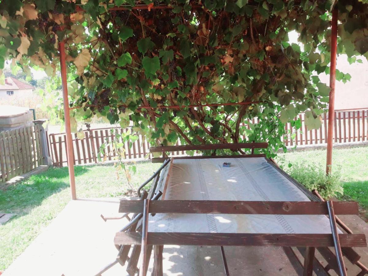 Guest House Ahmo Halilcevic Dubrave Gornje المظهر الخارجي الصورة